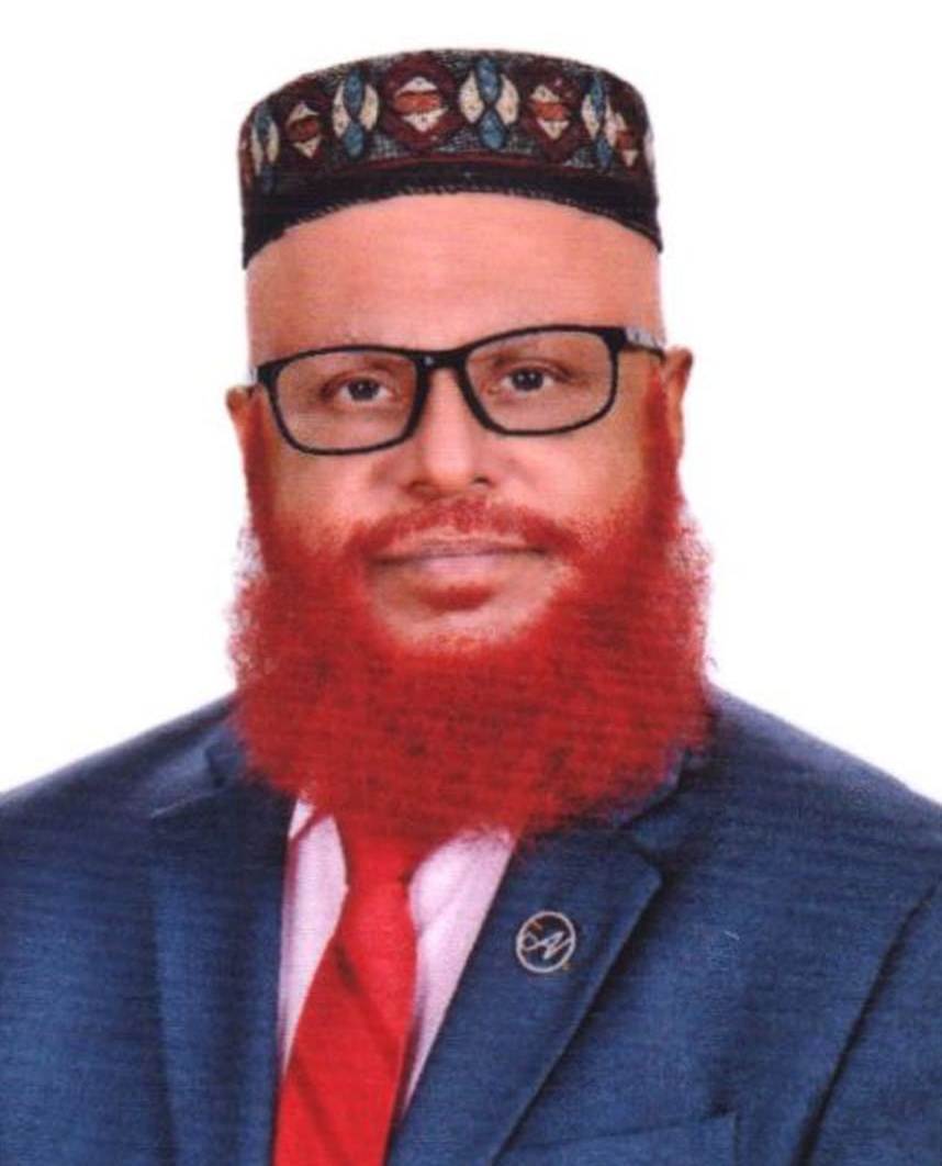 M. A. Hannan Azad